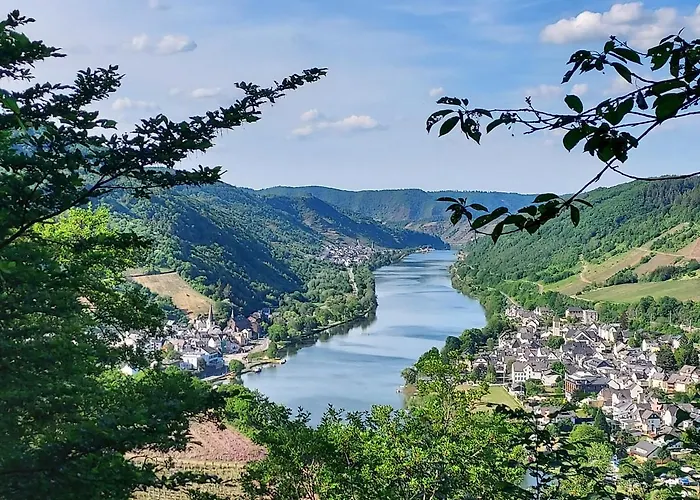 Zum Prinzenkopf 아파트 알프